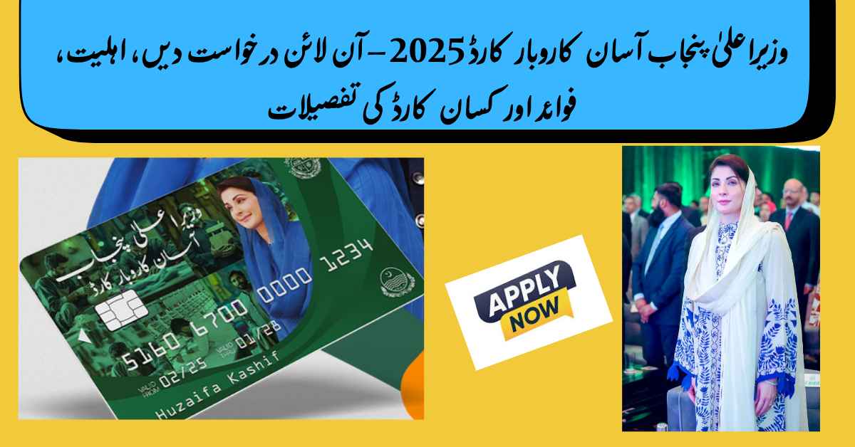 CM Punjab Asaan Karobar Card