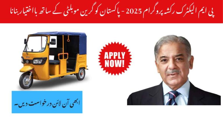 PM Electric Rickshaw Program 2025 – Empowering Pakistan with Green Mobility